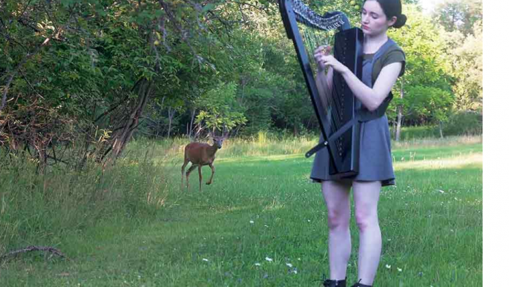A curious deer comes out of the woods when talented harpist begins ‘The Sound of Silence’