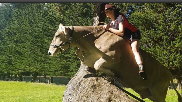 Her parents refused to get her a horse, so she tamed her cow instead