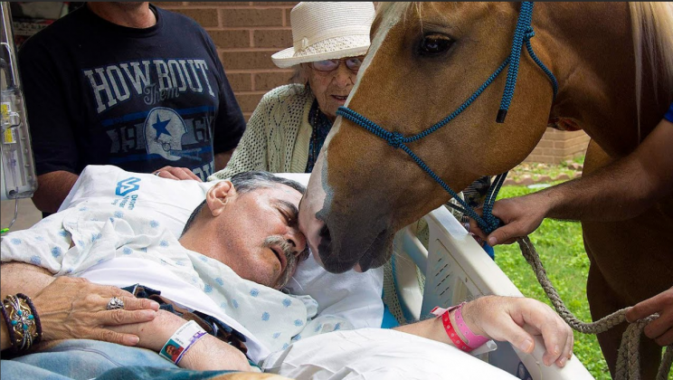 Powerful moment veteran on deathbed says goodbye to his beloved horse one last time