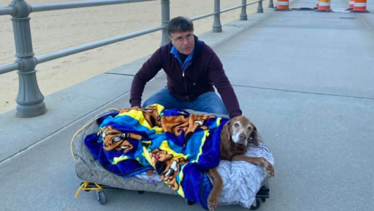 The owners make a movable bed for their 16-year-old dog to help the dog enjoy her last beach vacation