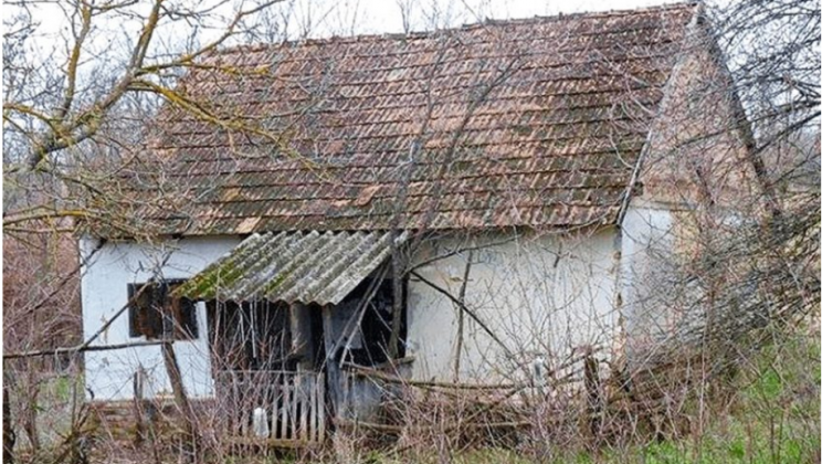 The young family did not have money for an apartment. They bought an abandoned house and now live like in a fairy tale!