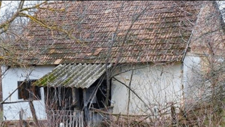 The young family did not have money for an apartment. They bought an abandoned house and now live like in a fairy tale!