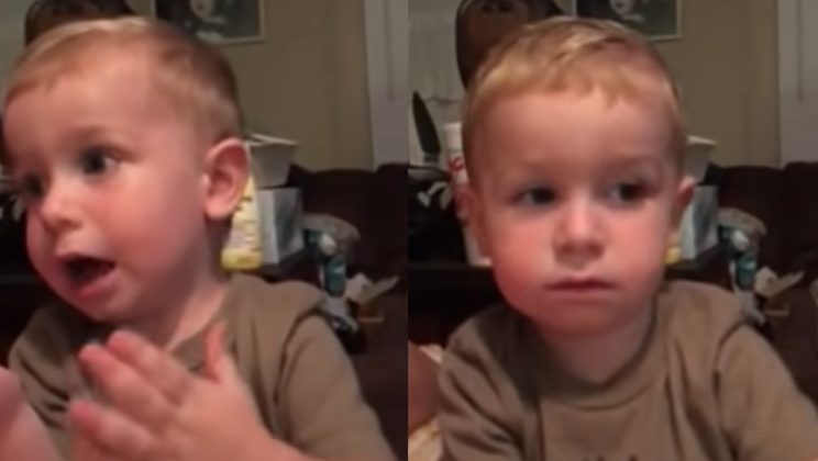2-year-old boy with southern drawl tells a story about a cow