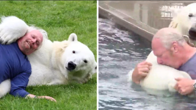 A man has been friends with a polar bear for more than 20 years and even swims with him in the pool