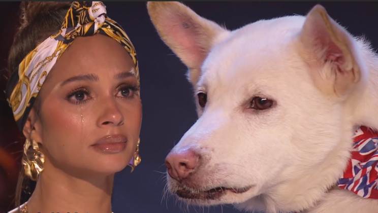 “Got Talent” judges cry over dog magic act after learning about the dog’s tragic past