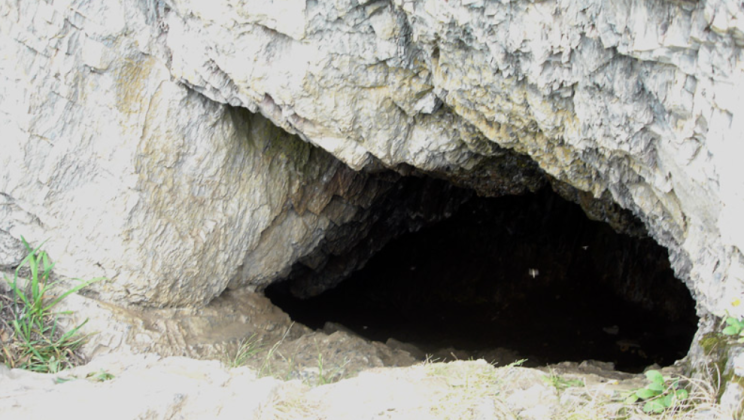 A man has been residing alone in a cave for 25 years with his dog. We now show you the cave’s interior.