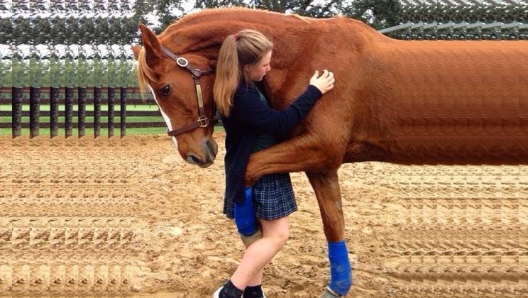 Horse Keeps Hugging Pregnant Woman – When Doctor Looks At Ultrasound He Calls The Police