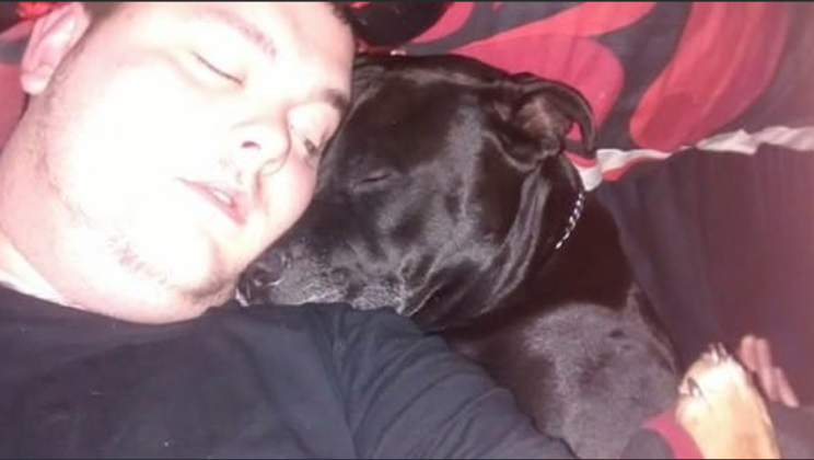 After a deep depression he decided to commit suicide – but then he saw what his dog was holding in its mouth