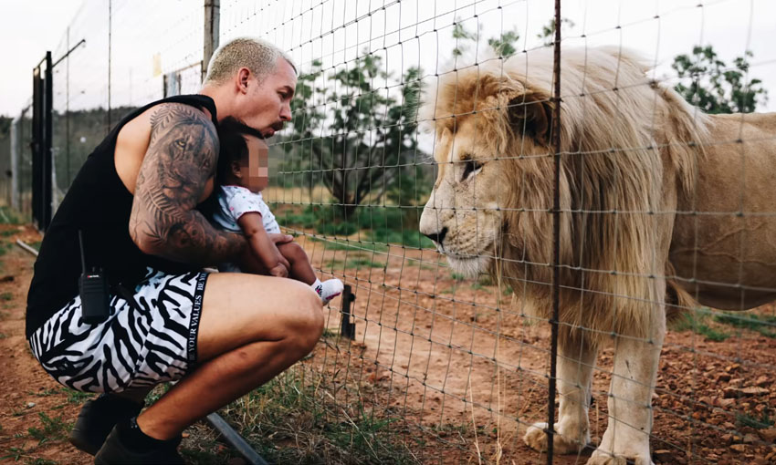 Man Who Lives With Lions Introduces His Baby To A Lion Pride