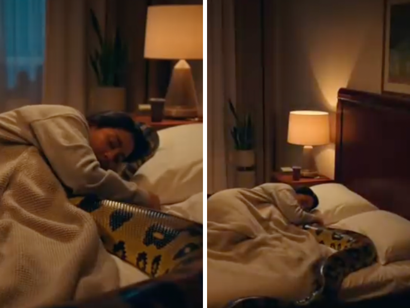 Ella dormía junto a su pitón todas las noches — lo que descubrió te hará reconsiderar las mascotas exóticas.